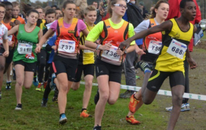 Vacances de la Toussaint