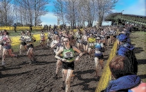 Départementaux de cross à FALAISE le 11/01/2026