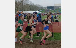 France de cross à Carhaix le 8 mars 2026