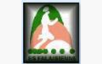 Tous les résultats de 2025