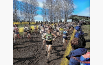 Départementaux de cross à FALAISE le 11/01/2026