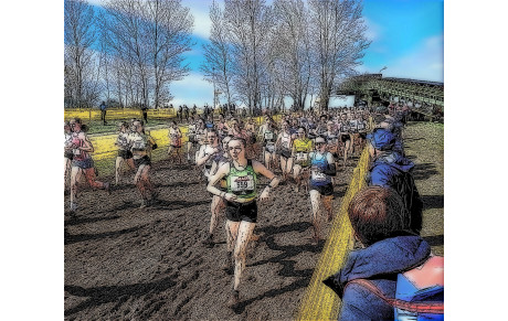 Départementaux de cross à FALAISE le 11/01/2026